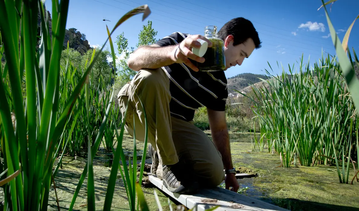 Man collecting water sample from pond.