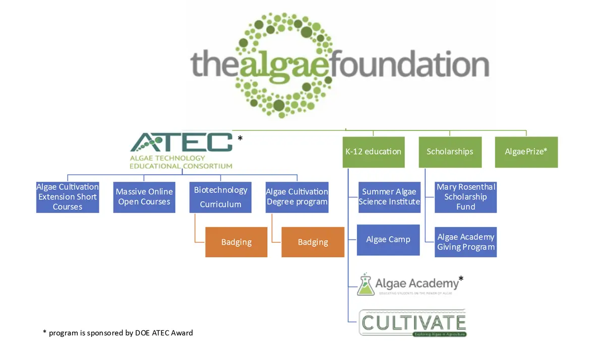 Flowchart of The Algae Foundation programs.