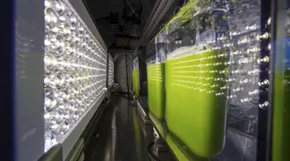 Green liquid in illuminated industrial containers.