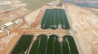 Aerial view of algae cultivation ponds.