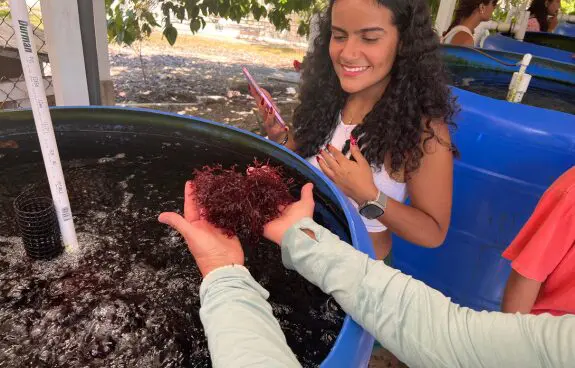 Person holding a handful of small red worms near a large blue container.
