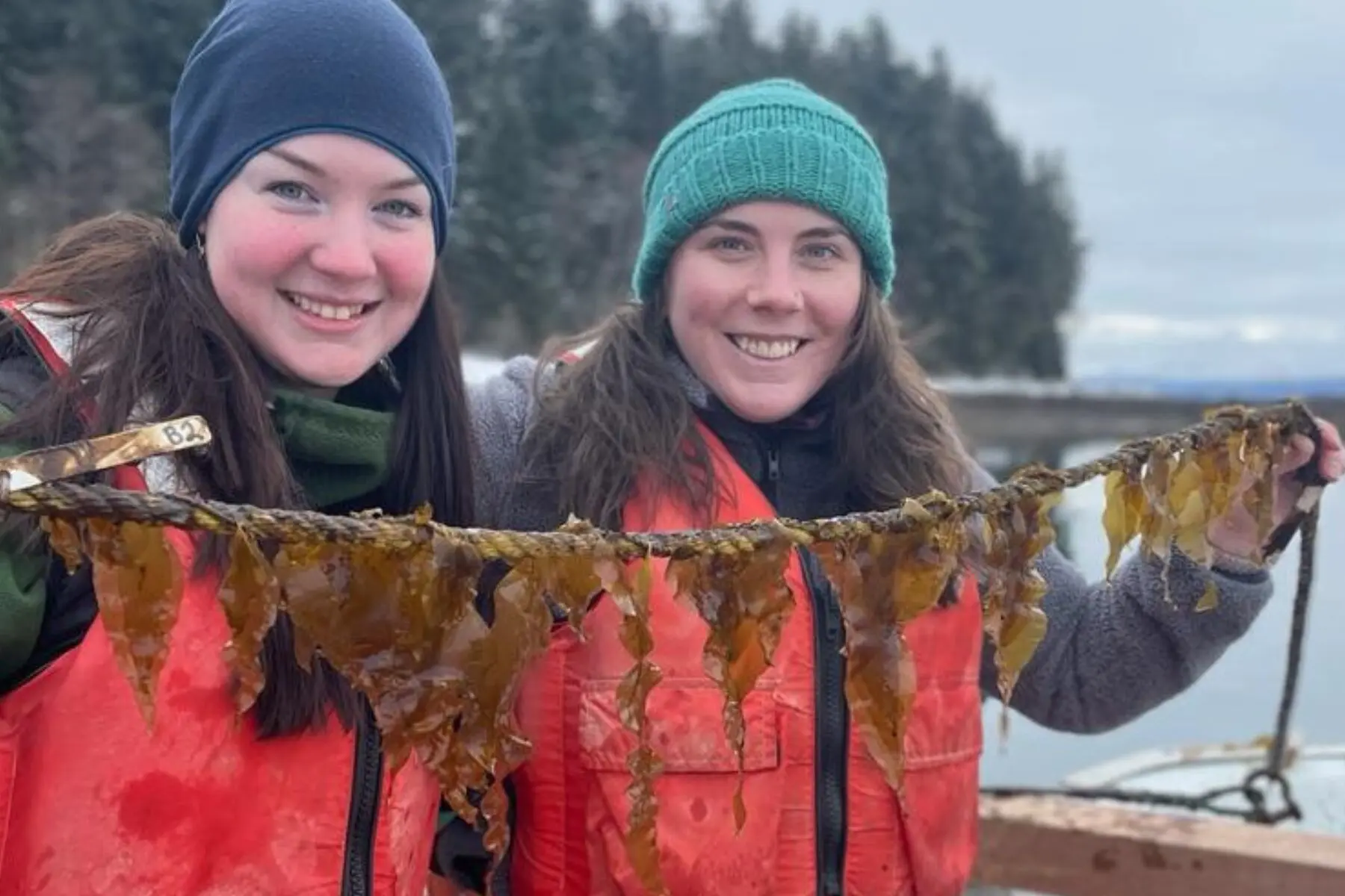 Two women holding seaweed on a cold day, smiling.