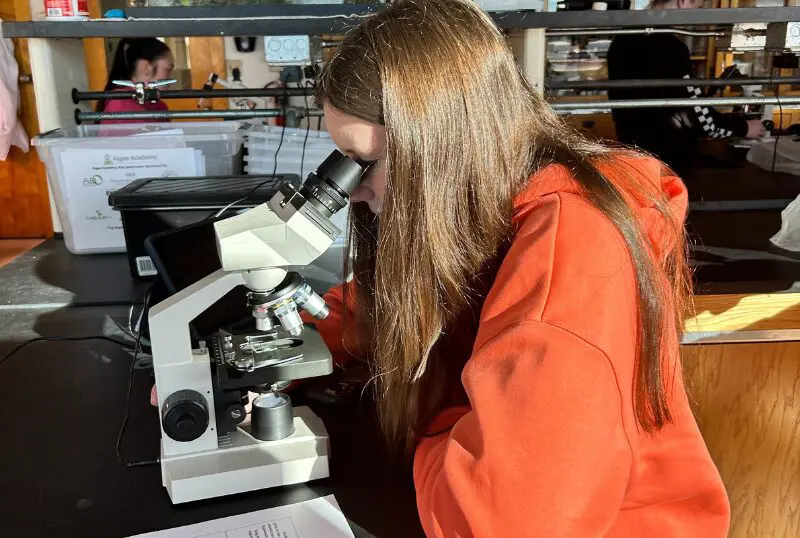 A person in an orange hoodie looking into a microscope.