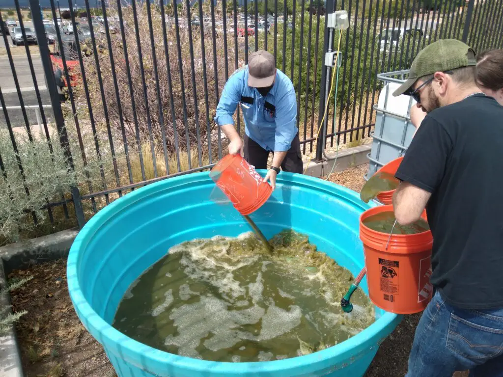 Two men pouring water into a large blue plastic pool outdoors.