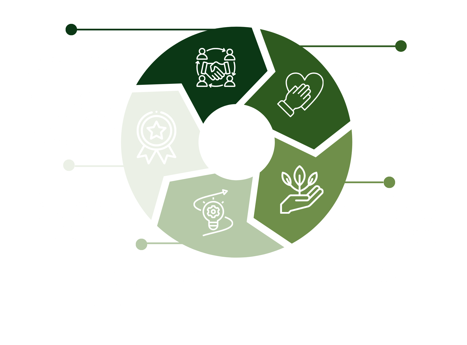 A circular infographic illustrating the five key elements of sustainable development.