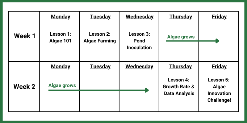 A weekly lesson schedule for an agricultural course with topics like algae growth and pond inoculation.